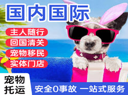 两江空运公司国际宠物托运 【国